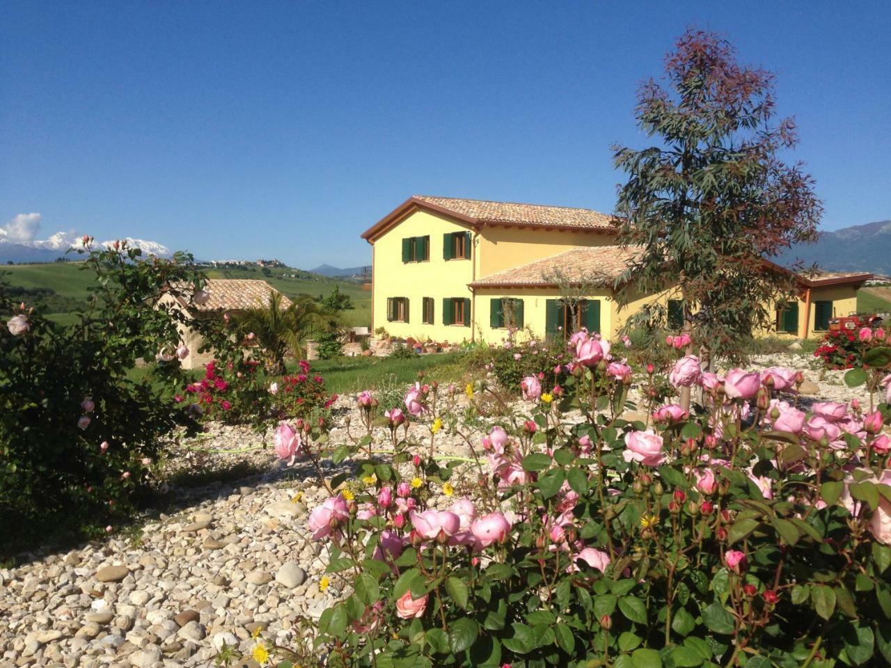 Il Frutteto Bed And Breakfast Ripattone Exterior photo
